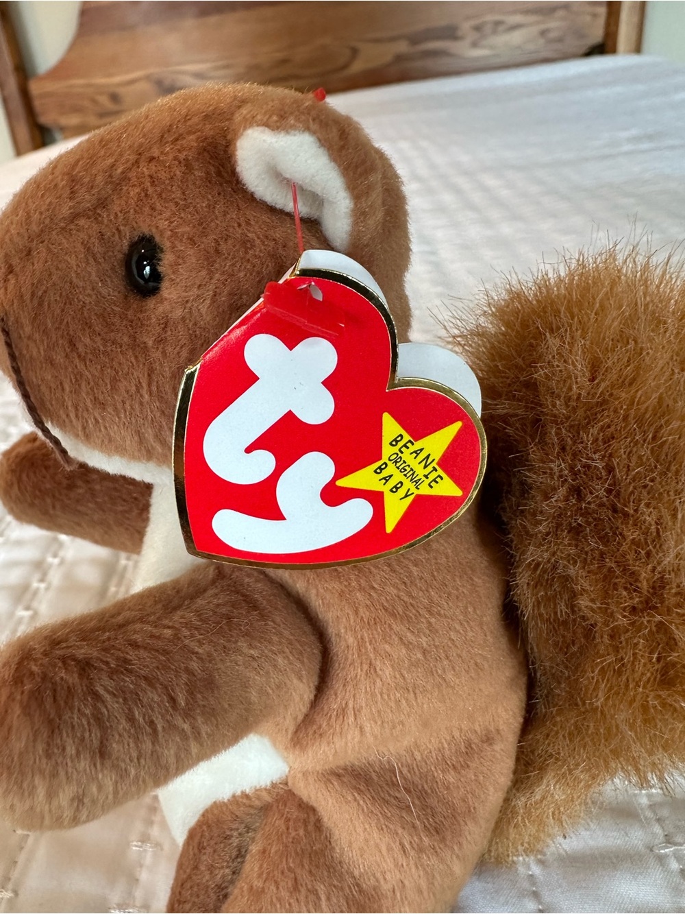 Nuts the Squirrel Beanie Baby - Picture 5 of 8